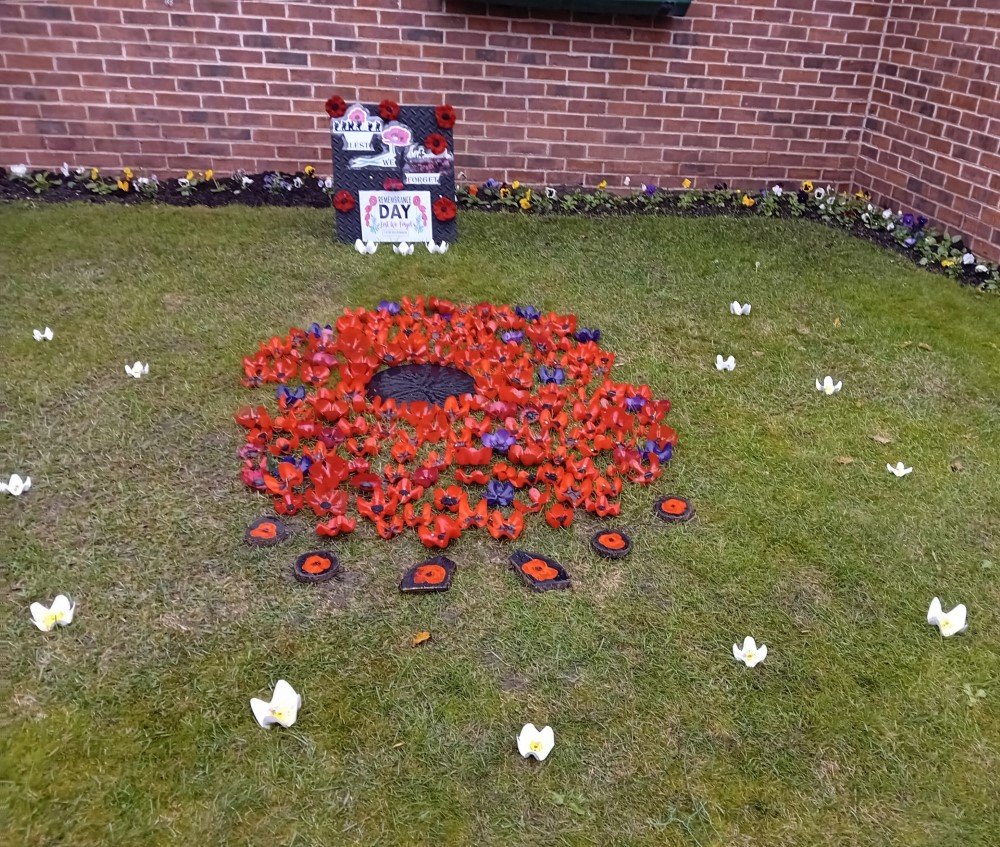 poppies